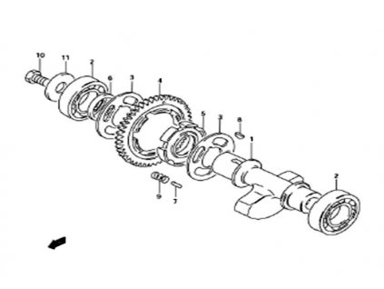 05 - segment ozub.kola