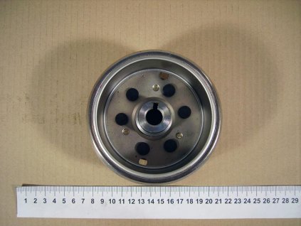 19 - rotor magneta