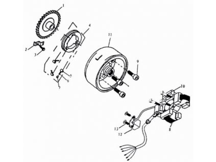 11 - rotor magneta 125 ccm