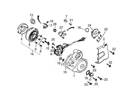 14 - rotor magneta