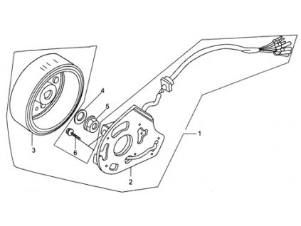 02 - stator magneta