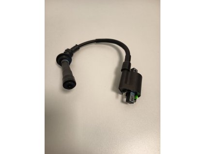 04-10 - Cívka zapalovací sestava