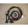 01 - stator magneta