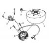 02-1 - stator magneta