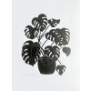 NB MONSTERA 2
