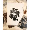 NB MONSTERA 3