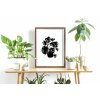 NB MONSTERA 1