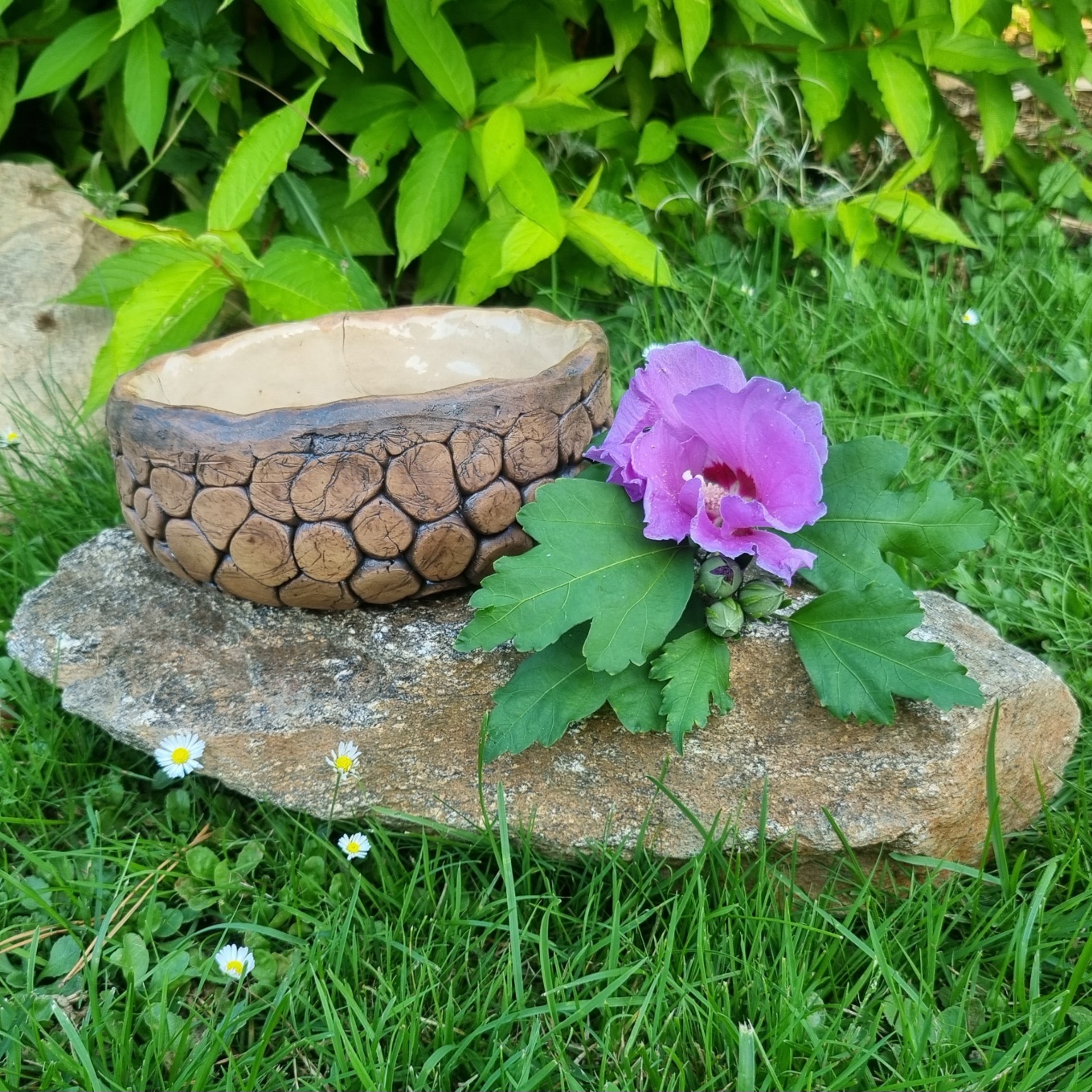 Malá zahradnice Klárka a aranžování netřesku do misky nevidomých