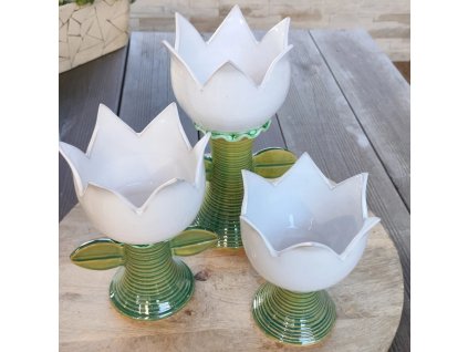 Kalichy tulipán zelený