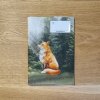 Látkový barevný obal A4, A5 De Luxe na knihu, učebnici, sešit, slabikář (univerzální) - zvířátka v lese liška