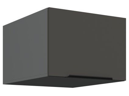 50 NAGU 36 1F ARIA GR ANT