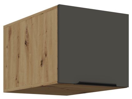 40 NAGU 36 1F ARIA GR AR