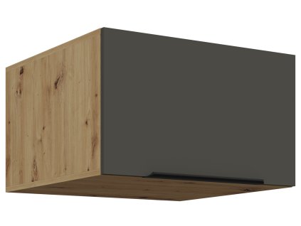 60 NAGU 36 1F ARIA GR AR