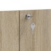 Dvířka se zámkem Office 339 dub sonoma