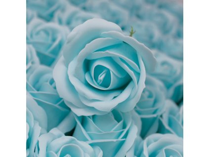 Růže světle modrá