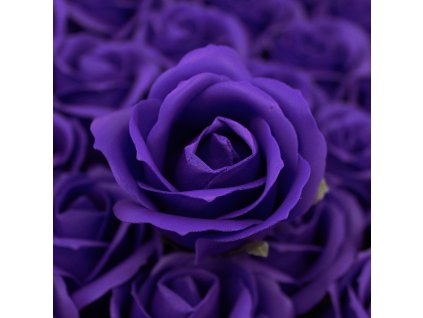 Růže tmavě modrá