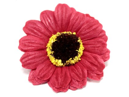 Slunečnice červená malá