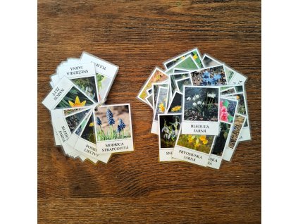 kartičky jarné kvety