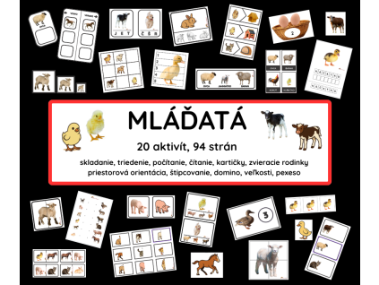 Text vášho odseku
