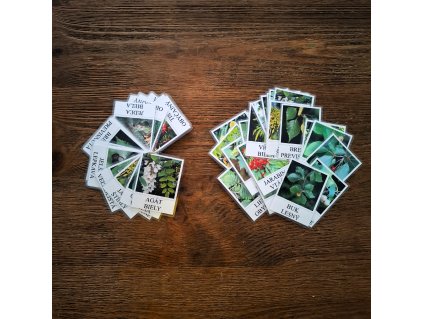 kartičky stromy