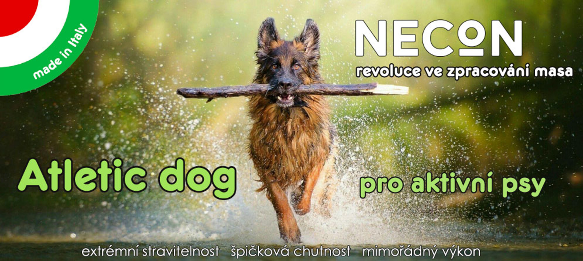 Necon Atletic dog obecný