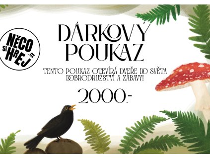 DÁRKOVÝ POUKAZ 2000,-