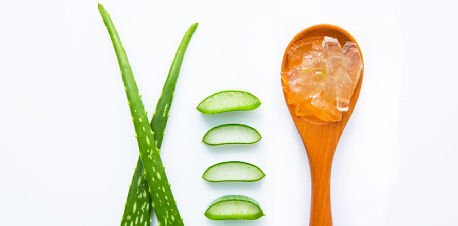 aloe
