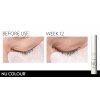 Nu Color Lash and Brow Landscape 3