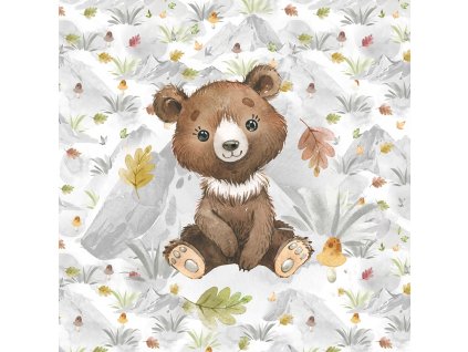 ft panel mountains fall bear