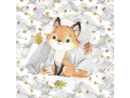 ft panel mountains fall fox