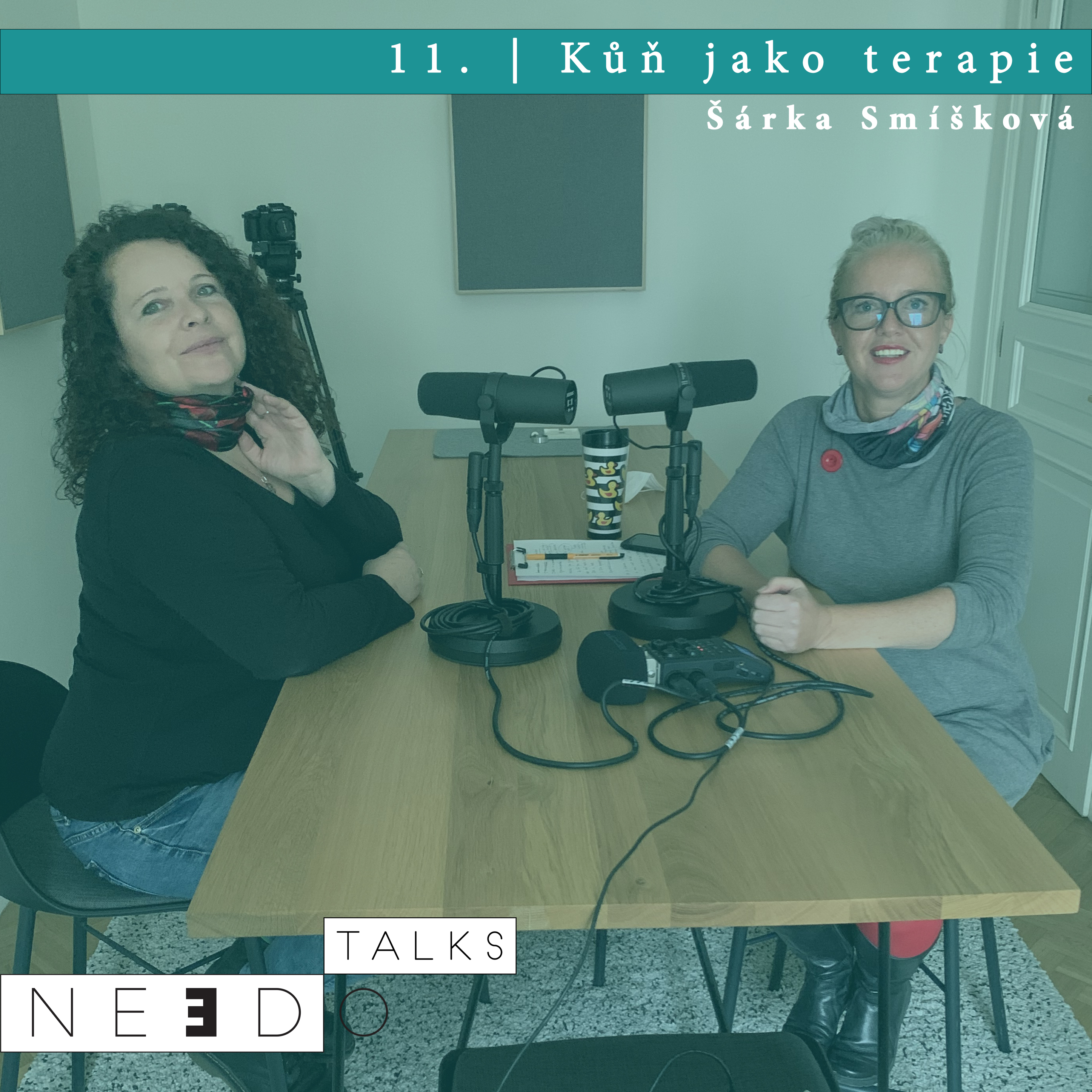 11. Kůň jako terapie. Šárka Smíšková