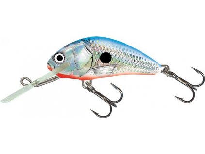 salmo wobler hornet floating silver blue shad