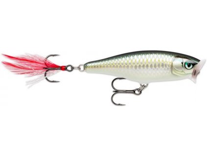 D91753CE CA28 4262 8332 9114725ACD4E SP BLK