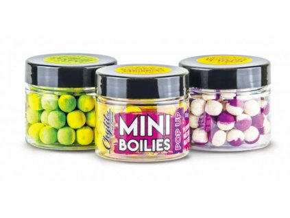 Snímek obrazovky 2024 05 06 121555