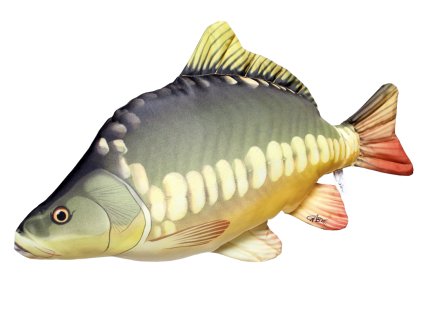 45030 1 kapr PhotoRoom