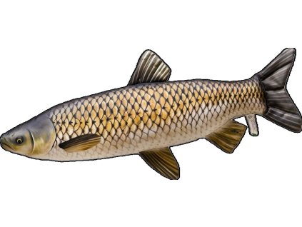 gaby plysova ryba amur mini 40 cm