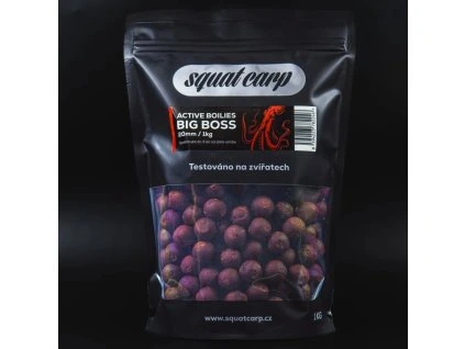 Snímek obrazovky 2026 03 24 133631