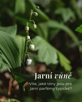 První jarní den je tady. 🌿 S přicházejícím jarem je čas na lehké a svěží vůně. Jaké ingredience k němu neodmyslitelně...