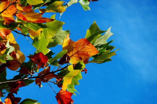 Přichází babí léto