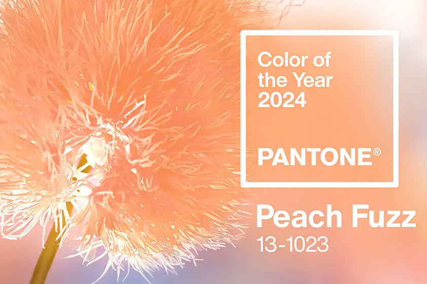 Barva roku 2024 Peach Fuzz