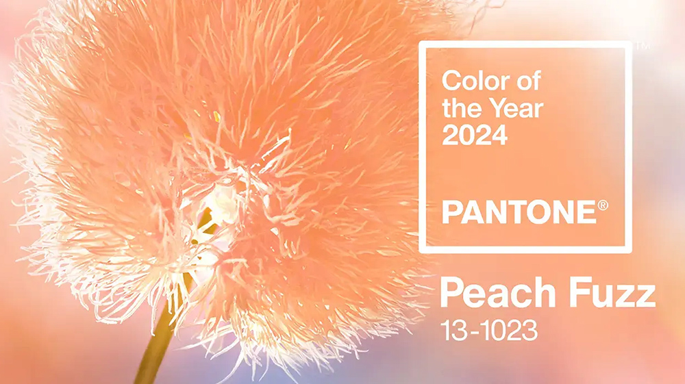 barva-roku-2024-peach-fizz-pantone-1