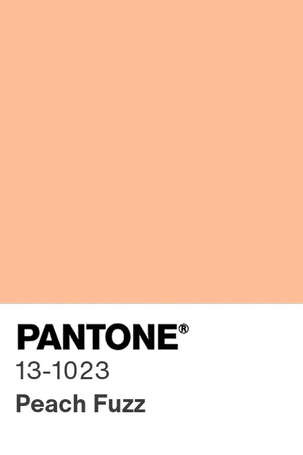 barva-roku-2024-peach-fizz-pantone-3