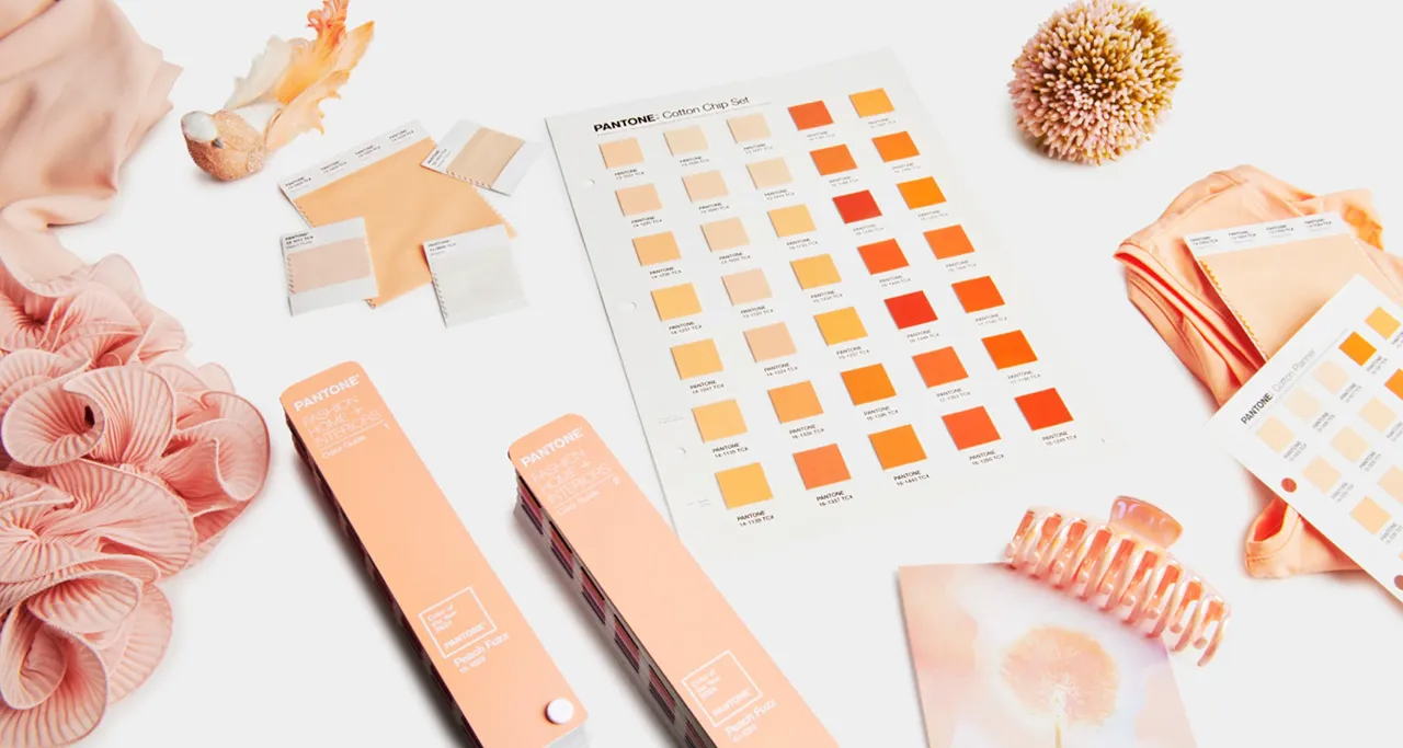 barva-roku-2024-peach-fizz-pantone-4