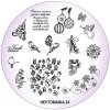 21284 nehtomania 24