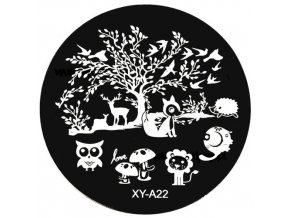 xya22