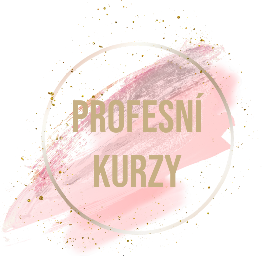 Profesní kurzy