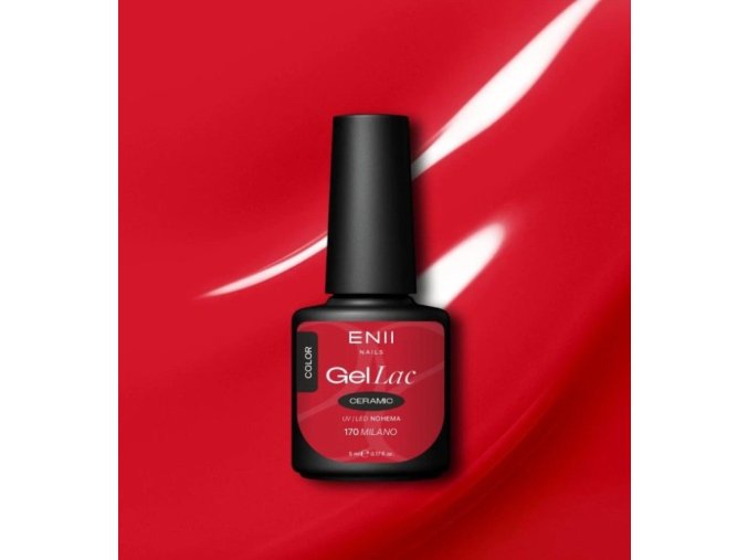 photo 2026 01 19 00 01 33