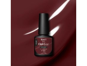 photo 2025 12 19 18 31 48