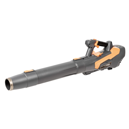 CEDBL210 P 01