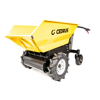 CEDTA500 01